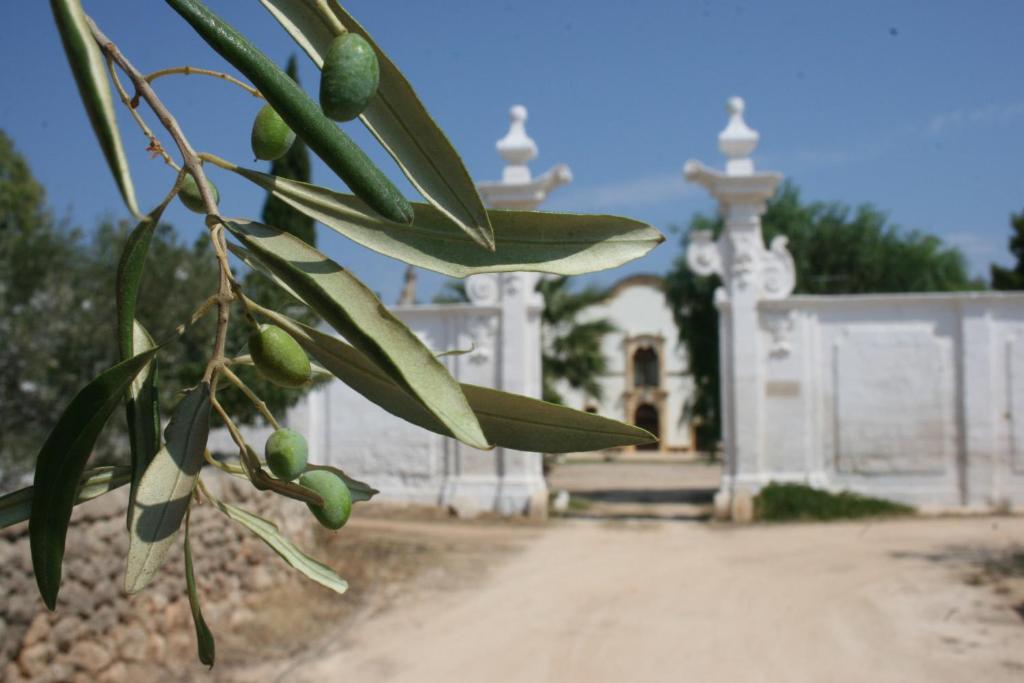 Masseria Maccarone Fasano Bagian luar foto