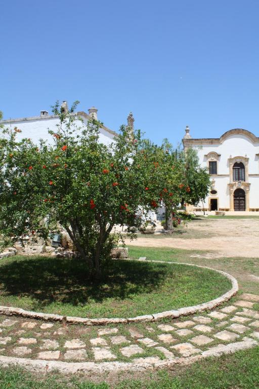Masseria Maccarone Fasano Bagian luar foto