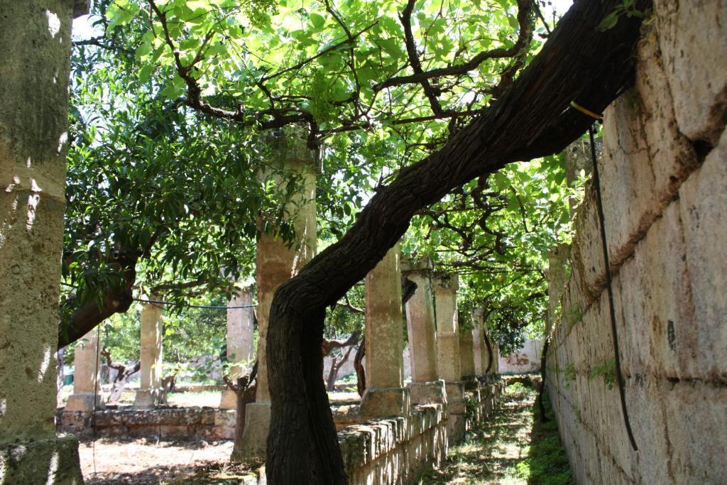 Masseria Maccarone Fasano Bagian luar foto