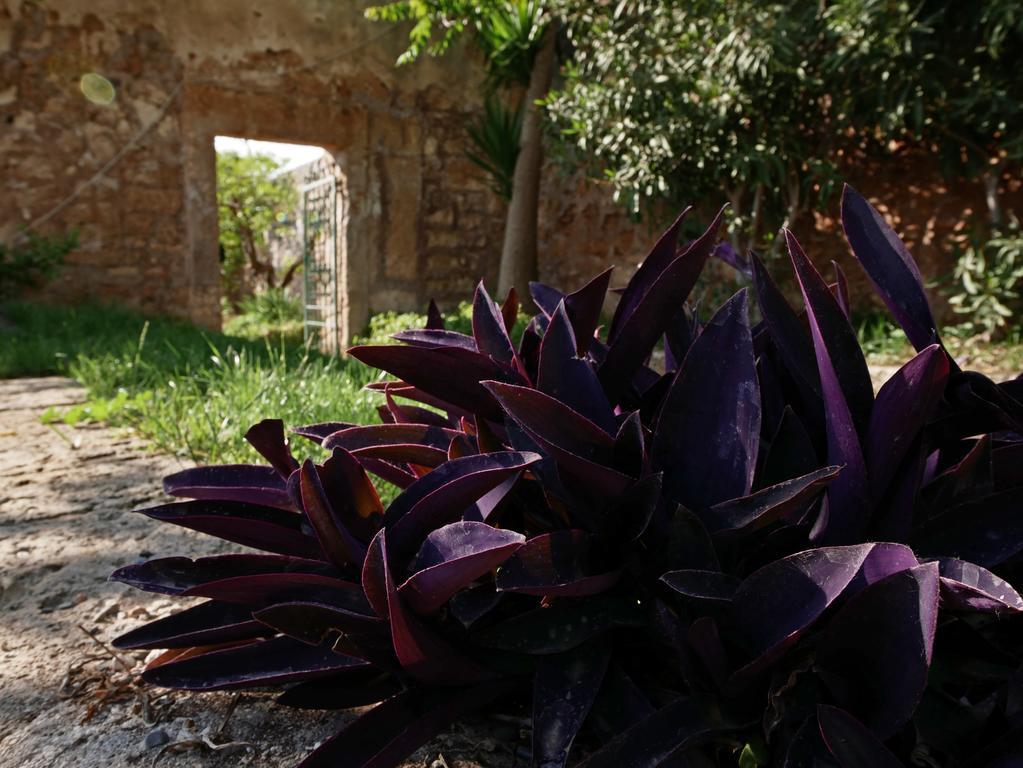 Masseria Maccarone Fasano Bagian luar foto