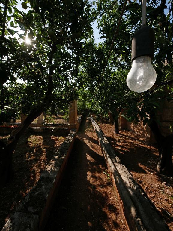 Masseria Maccarone Fasano Bagian luar foto
